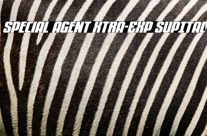 Special Agent Xtra-Exp SupItal Example 3