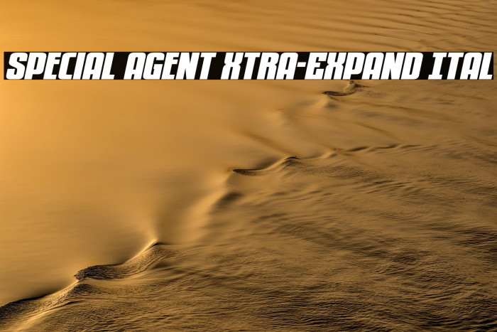 Special Agent Xtra-Expand Ital Example 1