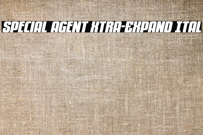 Special Agent Xtra-Expand Ital Example 3