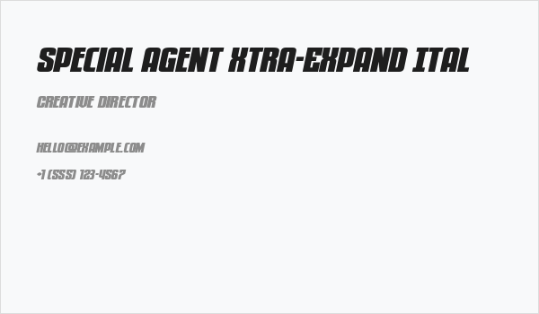 Special Agent Xtra-Expand Ital Business Card