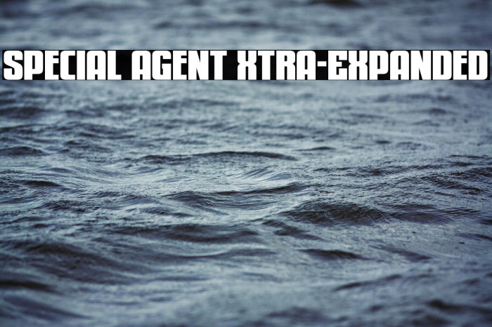 Special Agent Xtra-Expanded Example 1
