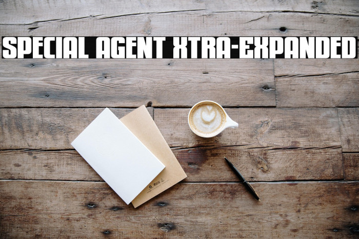 Special Agent Xtra-Expanded Example 3