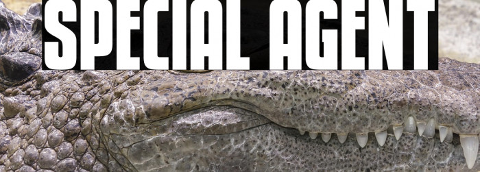 Special Agent Example 1