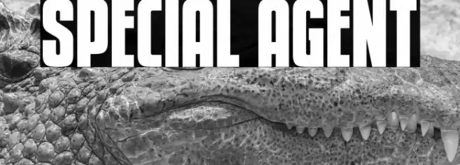 Special Agent Font examples