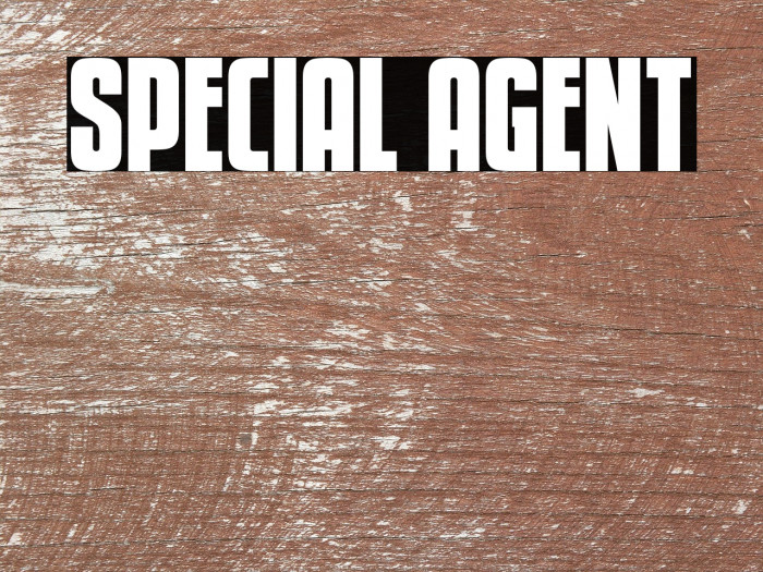 Special Agent Example 2