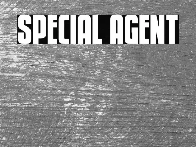 Special Agent Font examples