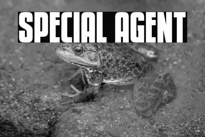 Special Agent Font examples