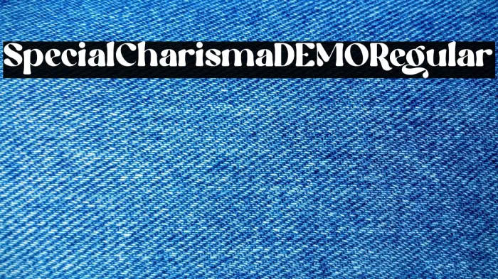 Special Charisma DEMO Regular Example 2