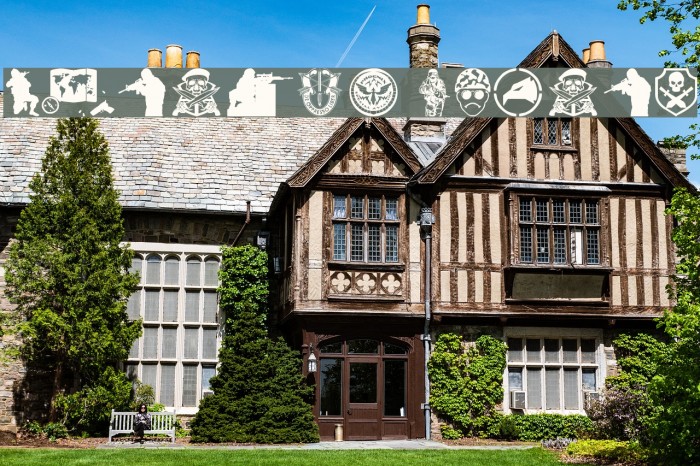 Special Forces Example 2