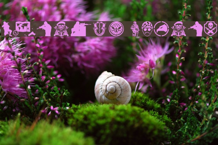 Special Forces Example 3