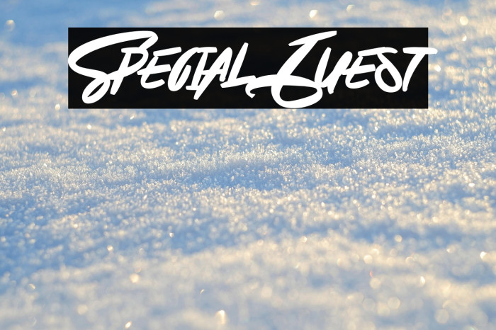 Special Guest Example 1