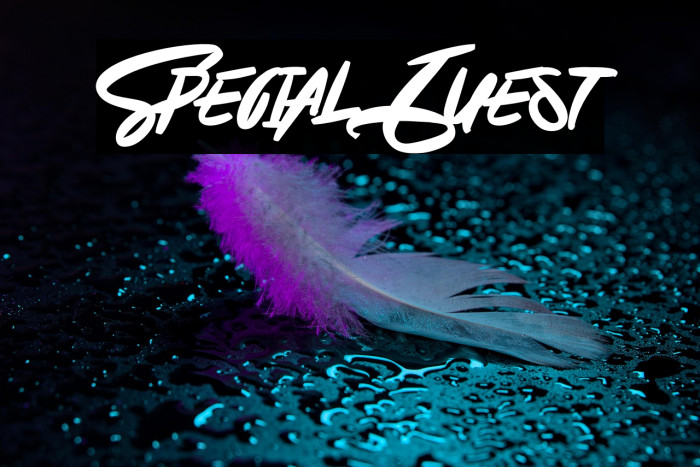 Special Guest Example 2