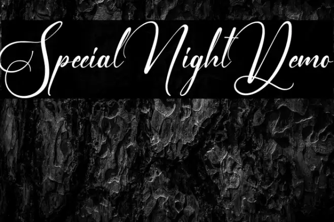 Special Night Demo Font examples