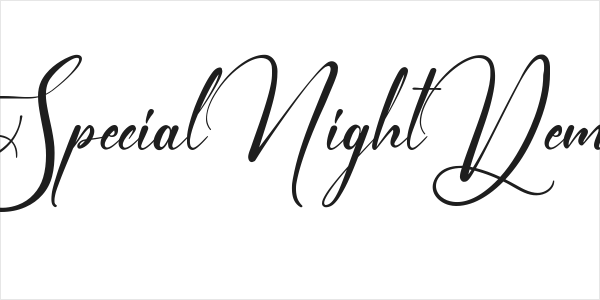 Special Night Demo Logo