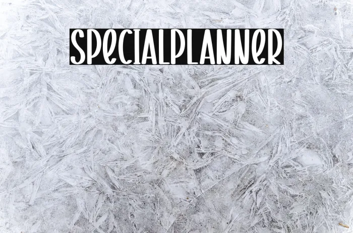 Special Planner Example 1