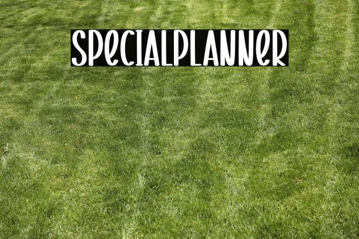 Special Planner Example 2