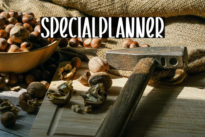 Special Planner Example 3
