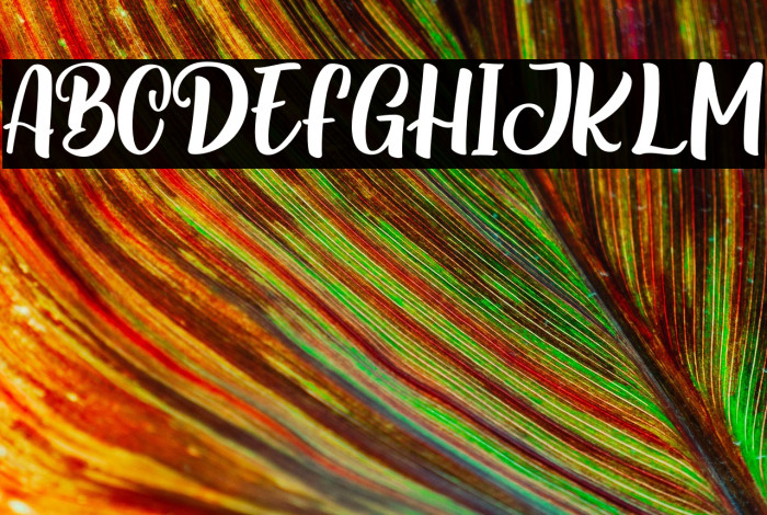 Special Ramen Example 1