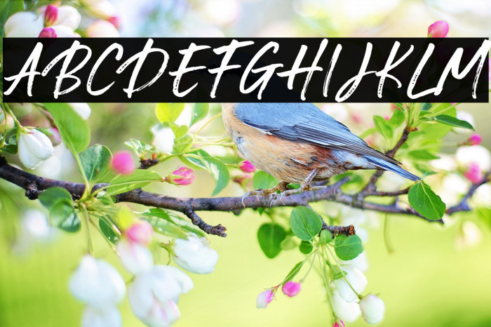 Special Request Example 1