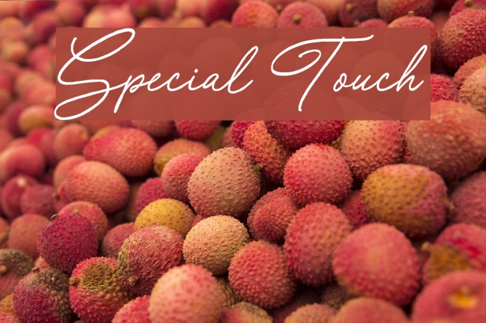 Special Touch Font examples