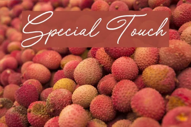 Special Touch Example 2