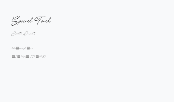Special Touch Business Card