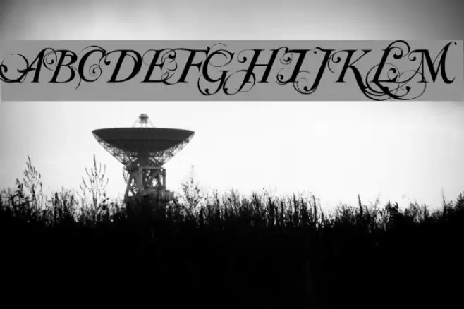 Special TypeRegular Font examples