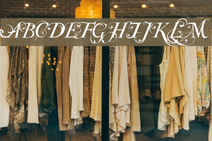 Special TypeRegular フォント examples