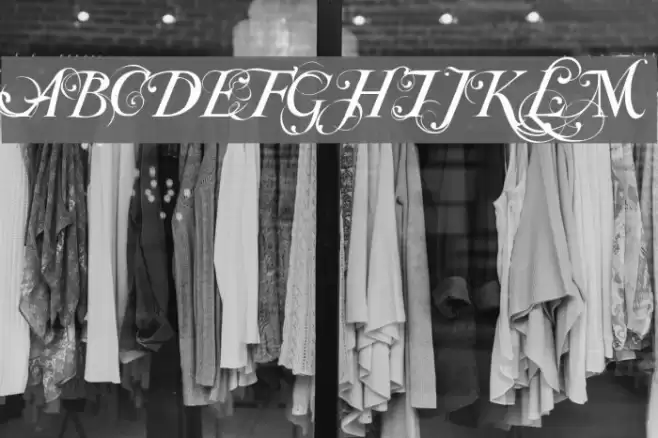 Special TypeRegular Font examples