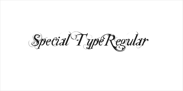 Special TypeRegular Logo