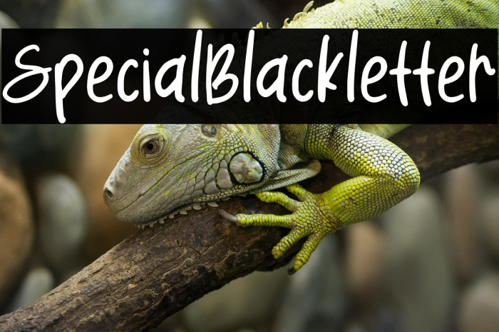 SpecialBlackletter Example 1
