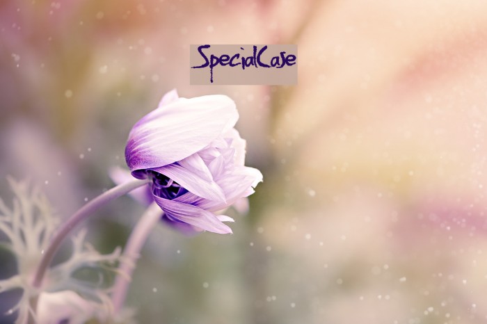 SpecialCase Font examples