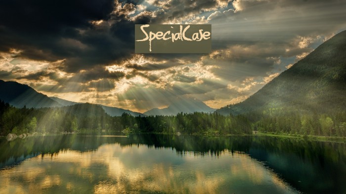 SpecialCase Font examples