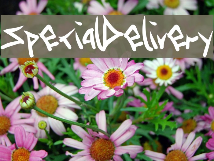 SpecialDelivery Font examples