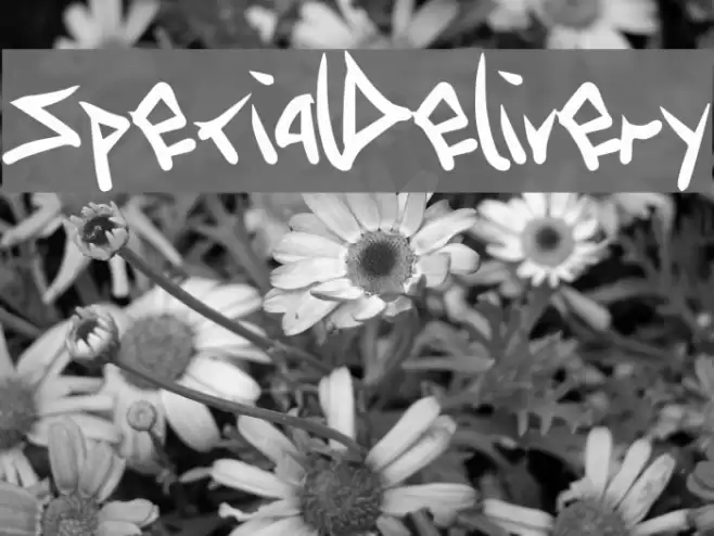 SpecialDelivery Шрифта examples