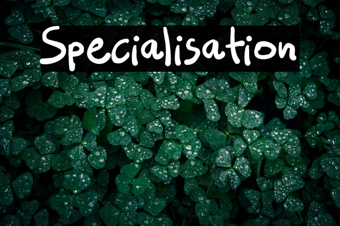 Specialisation Example 1