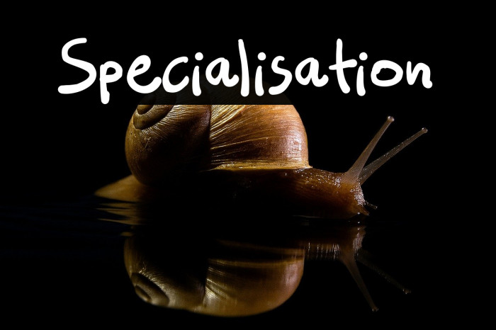 Specialisation Example 2