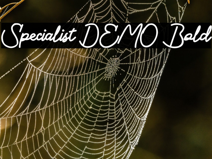 Specialist DEMO Bold Example 1