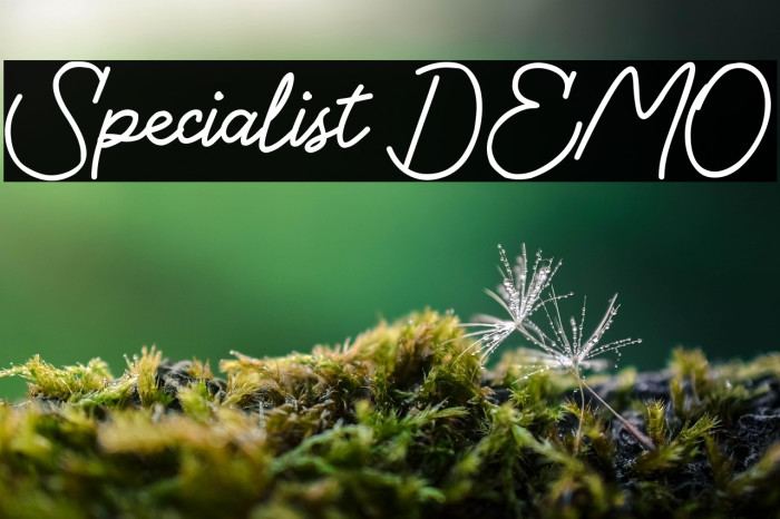 Specialist DEMO Example 1