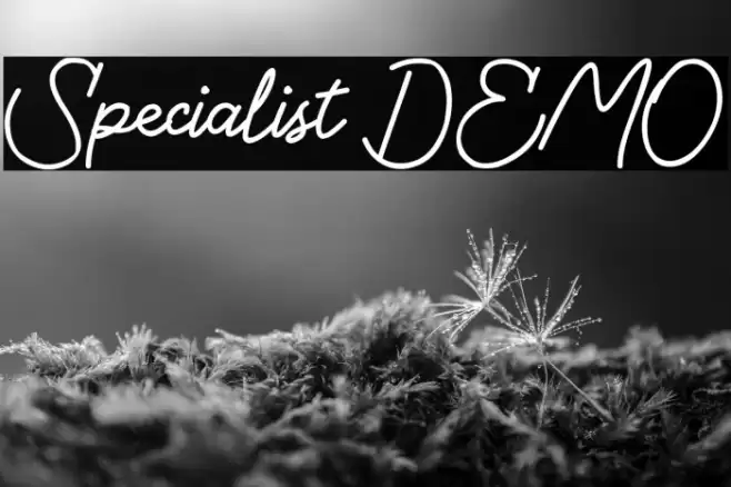Specialist DEMO Font examples