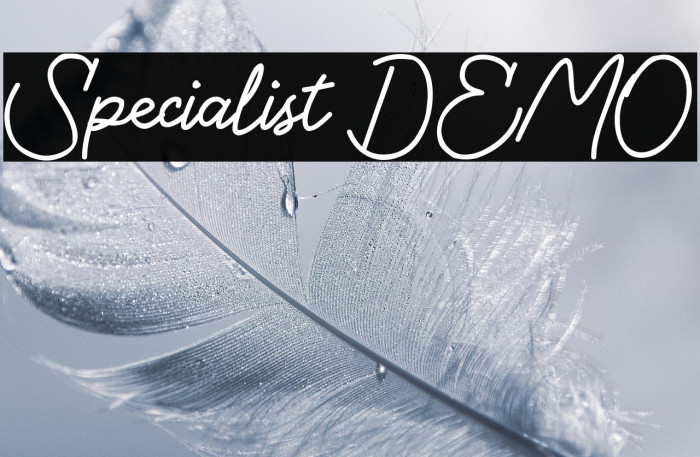 Specialist DEMO Example 2