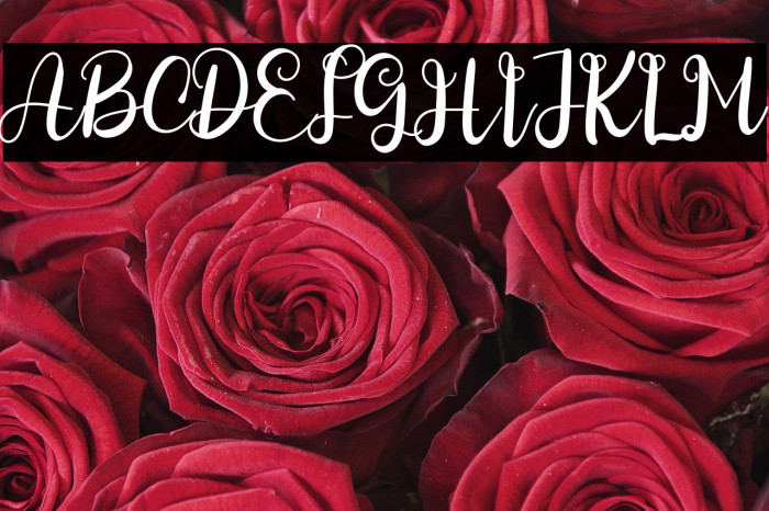 Speciality Farmhouse Example 1