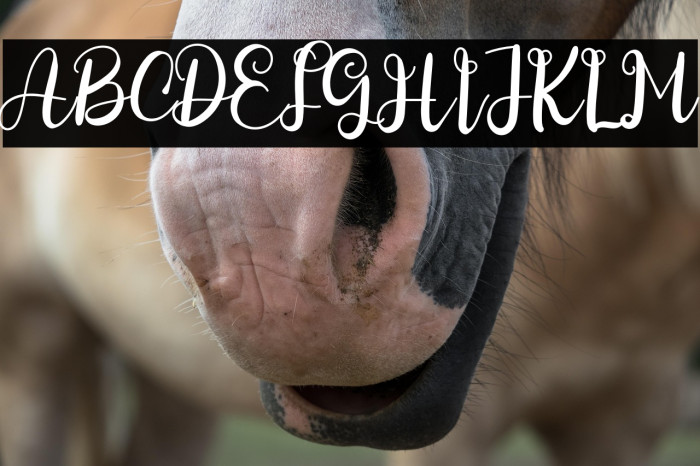 Speciality Farmhouse Example 2