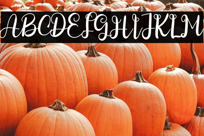 Speciality Farmhouse Example 3