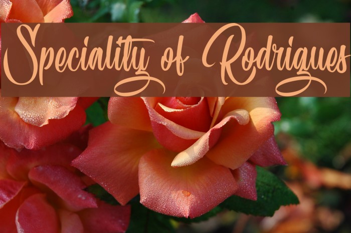 Speciality of Rodrigues Шрифта examples