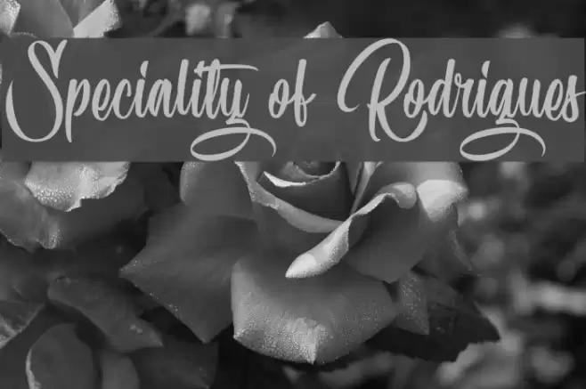 Speciality of Rodrigues Font examples