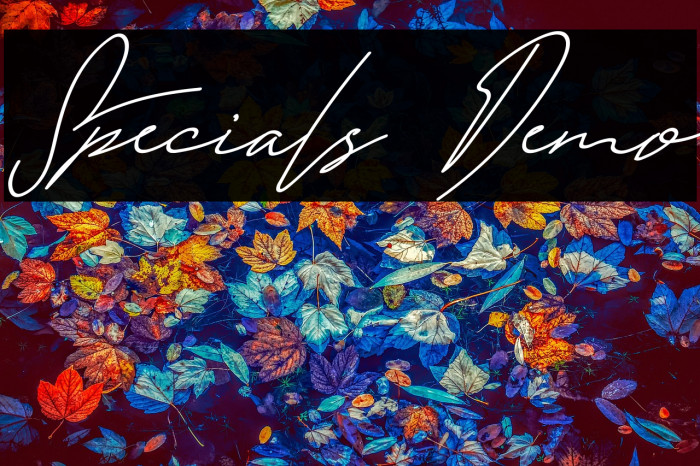 Specials Demo Example 3