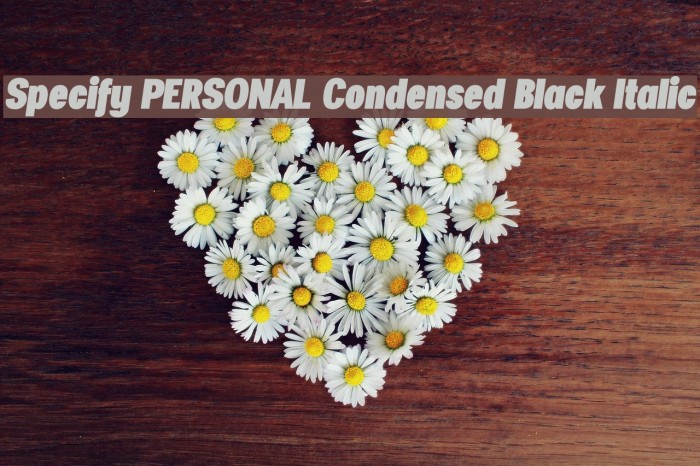 Specify PERSONAL Condensed Black Italic Font examples