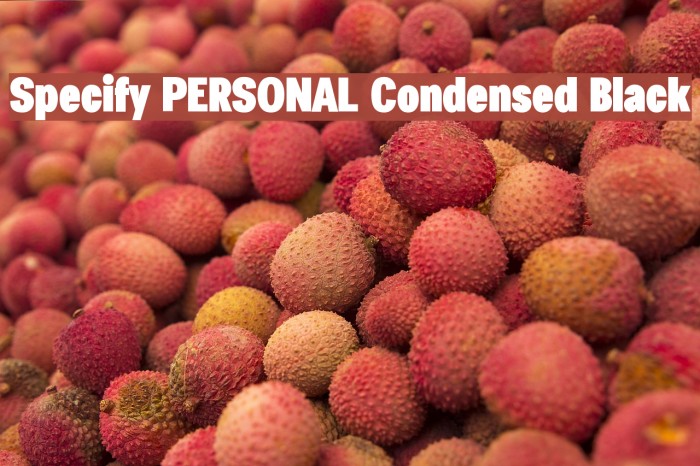 Specify PERSONAL Condensed Black Font examples