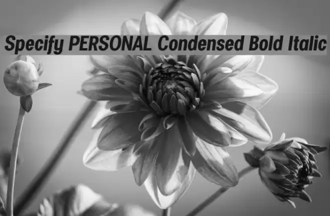 Specify PERSONAL Condensed Bold Italic Font examples
